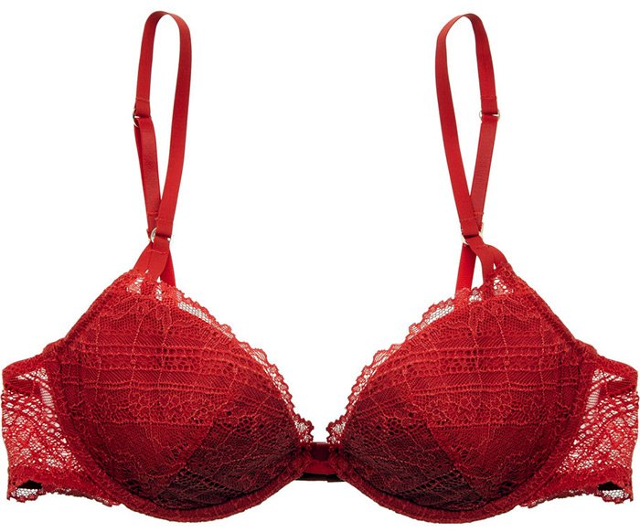 Lace Lingerie Bras for Girls photo