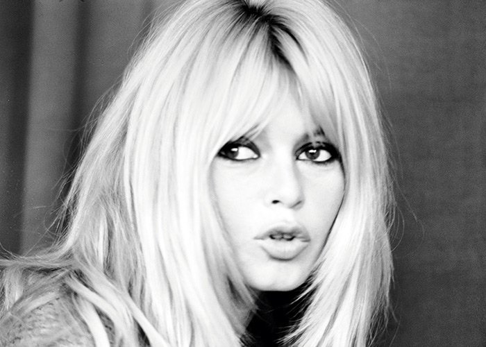 นักแสดงหญิง Brigitte Bardot photo