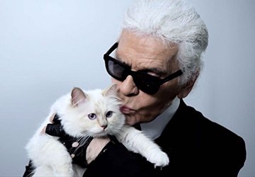 คอลเลคชั่นแมว โดย Karl Lagerfeld