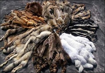 Fur quality and durability