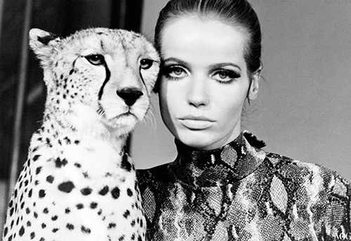 ภาพถ่ายที่ดีที่สุดของนางแบบ Veruschka