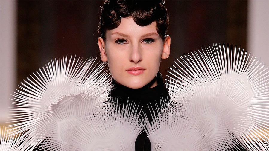 ชุดแฟนซีโดย Iris van Herpen