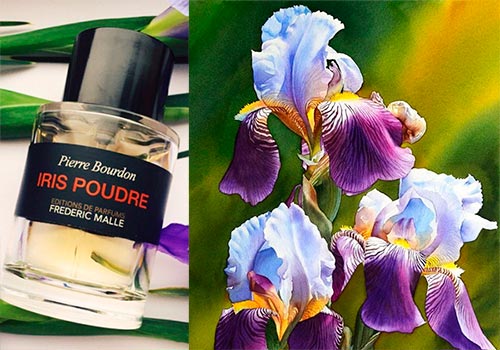 6 best iris perfumes